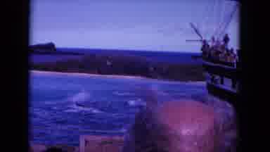 Oahi Hawaii (1964): Pod Of Dolphins Jumping In And Out Of The Water Near An Old