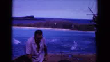 Oahi Hawaii (1964): Dolphins Jumping Out Of Blue Water On A Clear Day