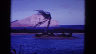 Oahi Hawaii (1964): Trained Dolphin Doing An Amazingly High Jump Out Of An