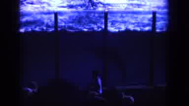 Oahi Hawaii (1964): Footage Of Dolphin Performing In A Giant Pool At An Aquarium
