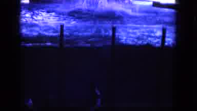 Oahi Hawaii (1964): The Tales Of A Great Whale Doing A Tank Dance