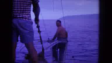 Oahi Hawaii (1964): The People Are Riding On The Boat For Fishing And One Shark