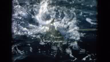 Oahi Hawaii (1964): Fish Caught At Sea