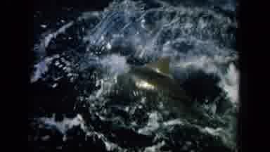 Oahi Hawaii (1964): Fisherman Hauls Large Fighting Fish Into Boat Using Rope And