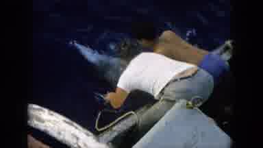 Oahi Hawaii (1964): The People Was Fishing In The Sea And They Catch The Whale