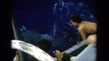 Oahi Hawaii (1964): Dolphin Swimming Away From A Boat With People On It