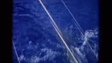 Oahi Hawaii (1964): Adorable Amazing Dolphin Pod Swimming And Jumping Out Of The