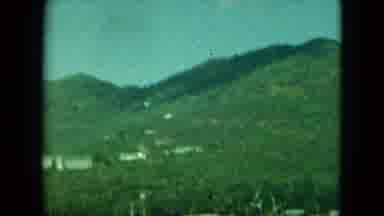 Saint Thomas (1964): Green Island Of Trees Across The Bay
