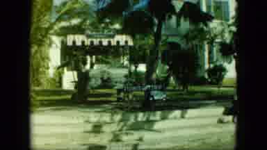 Saint Thomas-1964: Person Walks By Palm Trees Near Blackbeard's Castle