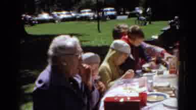 Toledo Ohio (1964): A Family Picnics At A Park On A Pretty Day