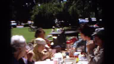 Toledo Ohio (1964): The Peoples Are Eating In The Park They Are Enjoy Themselves