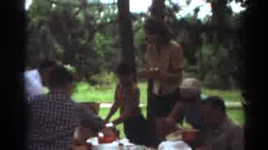 Toledo Ohio (1964): Family Gathering For A Birthday In The Park Having A Picnic To