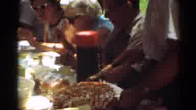 Toledo Ohio (1964): Family And Friends Attending A Picnic At A Park Sitting At A