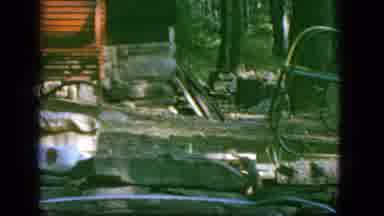Troy New York (1964): The Rat Was Free Roaming On The Ground And Go For A Man