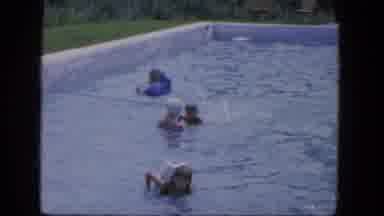 Troy New York (1964): Many Persons Are Doing Swimming In The Lake Very Happily