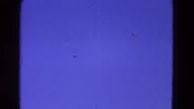 Washington DC (1964): Bird Flying Through A Blue Sky
