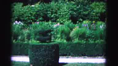 Williamsburg Virginia USA (1964): Beautiful Garden With Hedges Flowers Walkways