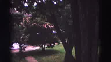 Williamsburg Virginia USA (1964): Very Well Kept Garden With Trees Flowers Plants
