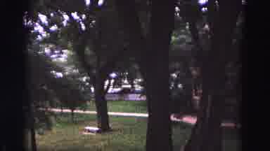 Williamsburg Virginia USA (1964): Wooded Park In The 1980s