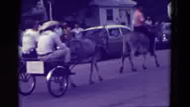 Clarkson Nebraska (1965): Parade With Mules Pulling Two People In A Buggy A Car
