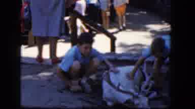 Concord New Hampshire (1965): Kids Petting Deer
