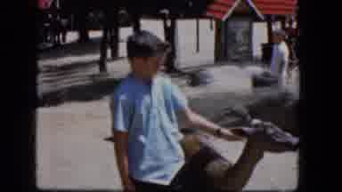 Concord New Hampshire (1965): Two Small Boys Petting A Small Deer In A Petting Zoo