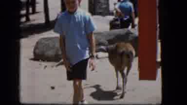 Concord New Hampshire (1965): Family Vacation Fun Road Trips