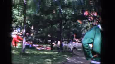 Concord New Hampshire (1965): People Walking Through The Park With A Lot Of Dogs