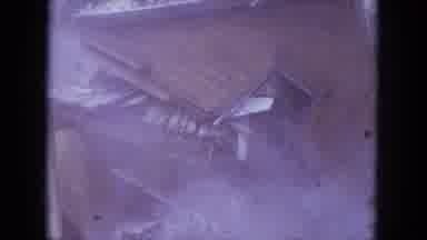 Louisville Kentucky USA (1965): A Small Green House Surrounded By Trees Being