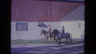 Louisville Kentucky USA (1965): Friends Riding Horses Around Bareback With Only A