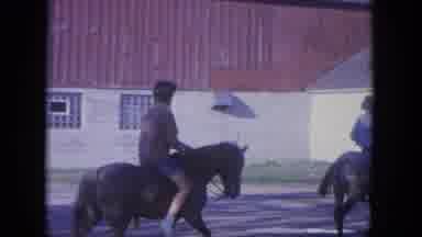 Louisville Kentucky USA (1965): There Is People Riding Horses In A Circular
