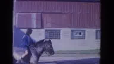 Louisville Kentucky USA (1965): Two Teenagers Riding Two Incredibly Tame Horses