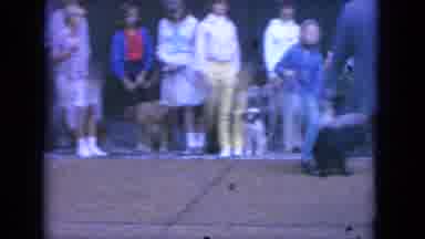 Louisville Kentucky USA (1965): Children With Their Dogs On Leashes Standing In A