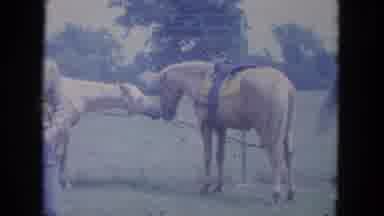Louisville Kentucky USA (1965): Starting A Horse Race With Multiple Horses With