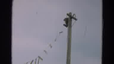 Omaha Nebraska (1965): Man Is Standing On A Pole And Then An Ostrich Walks Around
