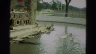 Omaha Nebraska (1965): Peacock Zoo Birds Shelters Water Pond