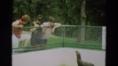 Omaha Nebraska (1965): Three Ladies Are Watching A Caged Otter In The Zoo