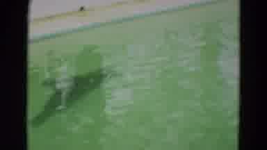 Omaha Nebraska (1965): Two Seals Playing In Small Pool Filled With Green Water
