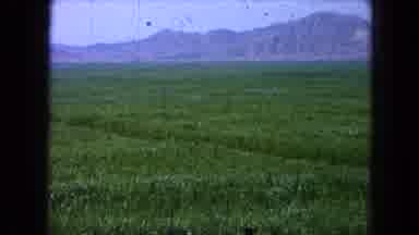 Pueblo Mexico (1965): Through Amber Waves Of Grain Our Country Will Persevere