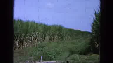 Pueblo Mexico (1965): Scenic View Of Hilly Field