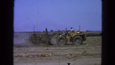 Pueblo Mexico (1965): Farmer Pushing Tree Logs On A Cleared Lot