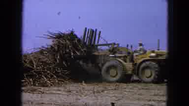 Pueblo Mexico (1965): A Guy On A Tractor Lifting A Bunch Of Tree Limbs