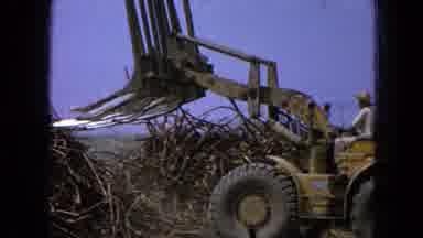 Pueblo Mexico (1965): Large Tractor Placing Tree Branches