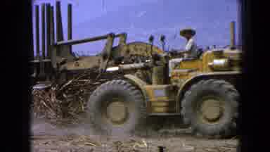 Pueblo Mexico (1965): A Worker On A Ground Field