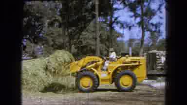 Pueblo Mexico (1965): Man Driving Yellow Tractor Moving Loads Of Green Grass