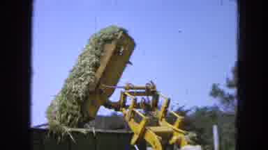 Pueblo Mexico (1965): Job Using Caterpillar Machine And Dumping Green Waste To