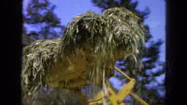 Pueblo Mexico (1965): Self-Propelled High Pressure Washing Machine Radio
