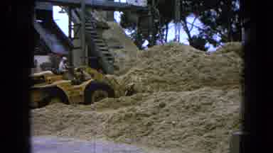 Pueblo Mexico (1965): Dozer Moving Mulch Across A Plant