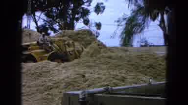 Pueblo Mexico (1965): Driver Of Mechanical Digger Excavating Sand In A Hot And