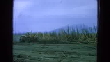 Pueblo Mexico (1965): Tractor Cuts Down Plants To Make Way For New Life